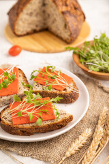 Grain bread sandwiches with red tomato cheese and microgreen on gray, side view, selective focus.