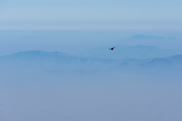 Beautiful view of a bird flying in the blue sky with foggy mountains on the horizon