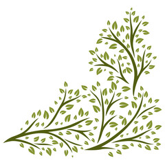 Background of sprigs with green leaves. Decorative plants.