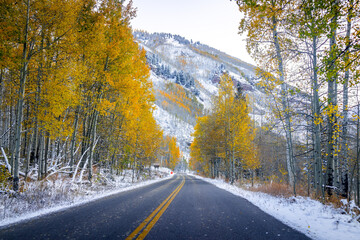 Fototapeta na wymiar Aspen, Colorado Maroon Bells creek road in Rocky Mountains in October late fall autumn foliage season with trees forest in snow and yellow leaves