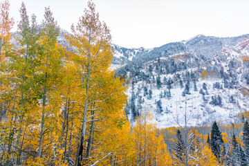 Maroon Bells morning in Aspen, Colorado red elk mountains with winter snow in late autumn fall...