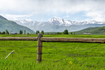 Crested Butte, Colorado farm countryside view of wooden wire fence by farmland field and yellow flowers growing in summer on cloudy day with green grass and mountains in background - Powered by Adobe