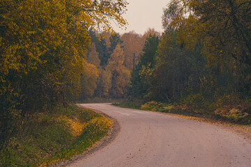 Naklejka premium deciduous forest with autumn foliage. Yellow, orange leaves on ground. Winding sand and gravel dirtroad. Empty highway in Latvian countryside