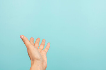 Woman hand open palm up gesture. Female hand taking, giving, showing something on light blue...