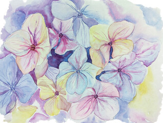 Hand drawn illustration of hydrangeas. Watercolor bouquet of hydrangeas. Floral background. Gentle colors. Spring. Bloom. Watercolor. Texture.