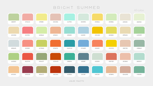 Bright Summer Palette. Fashion color trend vibes. Color palette forecast of the future shades. Vector template illustration EPS10