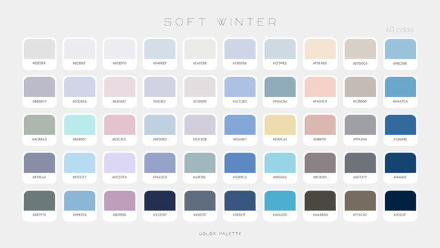Soft Winter Palette. Fashion cold color trends. Color palette forecast of the future shades. Vector template illustration EPS10
