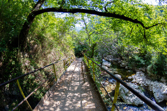 Tusciano river forest scenery in cilento