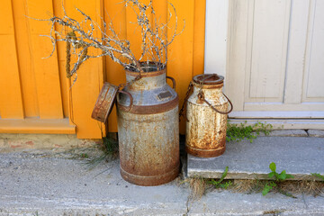 Old fashioned rustic milk jugs