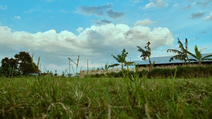 Obraz premium Beautiful sky view in the afternoon