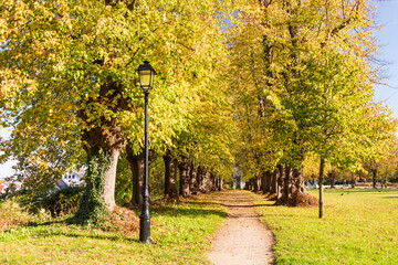 Lindenallee im Herbst mit bunten Blättern im Plöner Schloßgarten