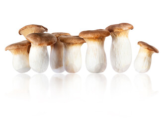 Group Royal oyster mushrooms (Pleurotus eryngii) isolated on a white background