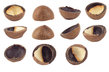 shell macadamia nuts, isolate