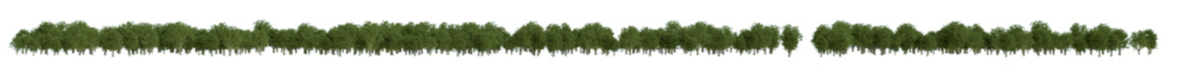 Obraz premium Treeline isolated on white background. Horizontal panorama from green trees. 3d realistic illustration.