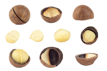 macadamia nuts, isolate