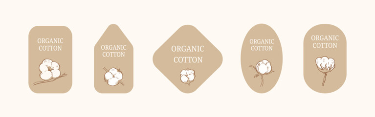 Backgrounds of different shapes. Horizontal set labels with cotton balls on a beige neutral background and the inscription: organic cotton. Illustration cotton branch - vintage style.