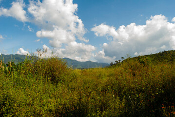 Fototapeta premium Sunny day in a rural space, bathed in natural light and green foliage with blue skies surrounded by clear mountains, a day to breathe organic oxygen.