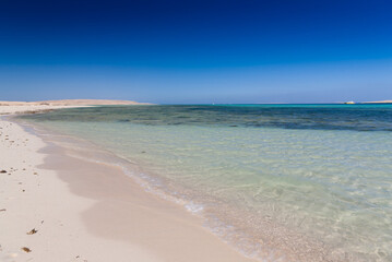 Egypt. Red sea day