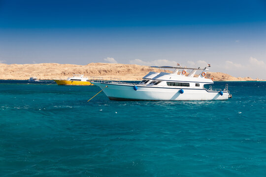Egypt. Red sea day