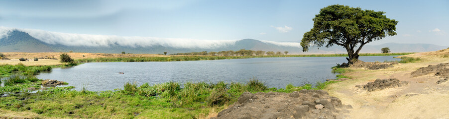 Fototapeta na wymiar Safari in Ngorogoro Crater in Tanzania