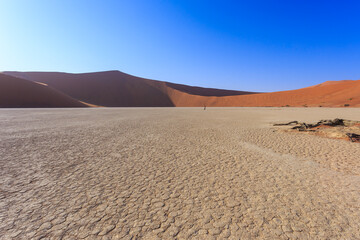 Deadvlei, white clay pan located inside the Namib-Naukluft Park in Namibia.Africa.