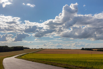 road in rapeseed fields and a cloudy sky