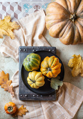 Pumpkins in a black plate on a light background with autumn leaves around. Top view - 542505216