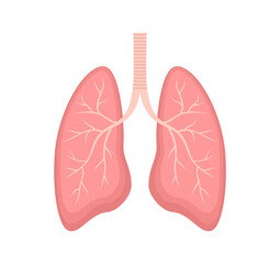 Human lungs isolated on white background. Flat vector illustration