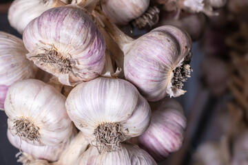 Harvested garlic hanging in bundles to dry