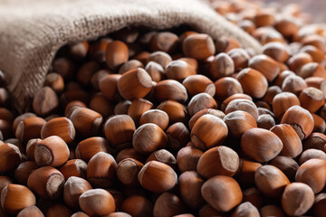 Hazelnuts, filbert in burlap sack on wooden backdrop. heap or stack of hazelnuts. Hazelnut...