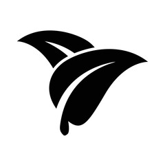 Obraz premium leaf icon design vector template