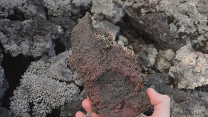 POV view male hand taking big piece of rock covered with moss and curiously examining it. Geology...