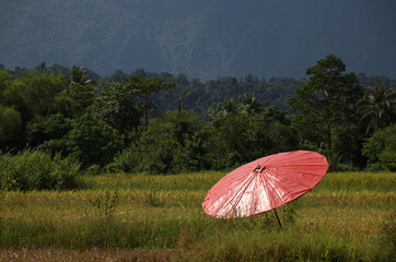 red umbrella