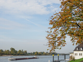 An den Rheinterassen in Düsseldorf