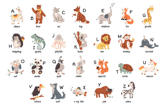 Colorful zoo alphabet with cute animals set. Cartoon letters from A to Z for children isolated vector illustration collection. Preschool and school education concept. Letters. Scandinavian style