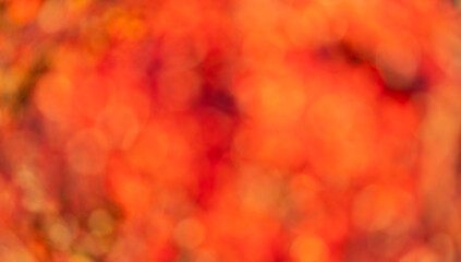 blurred orange bokeh background. orange color blurred background. orange blurred background