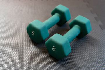 Close up of 2 green hexagonal, 8 pound dumbells laying on top of a black gym mat