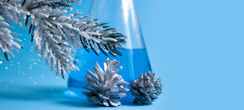 Christmas tree branch laboratory flask