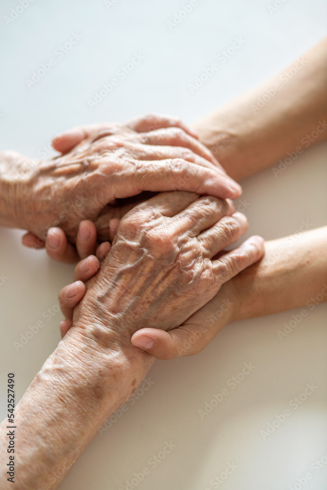 Wall mural Hands of an old woman and a young girl, tenderness and interlacing of fingers, old and young, grandmother and granddaughter, caring for each other.
