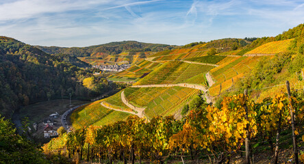 Weinberge bei Dernau an der Ahr im Goldenen Oktober 2022; Deutschland
