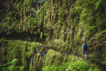 Athletic woman walks through adventurous jungle path along green overgrown canal. Levada of...