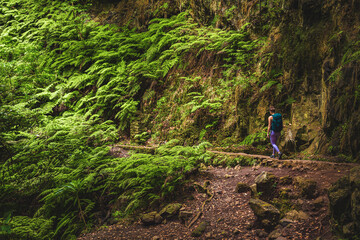 Naklejka na ściany i meble Athletic woman walks through adventurous jungle path along water canal. Levada of Caldeirão Verde, Madeira Island, Portugal, Europe.