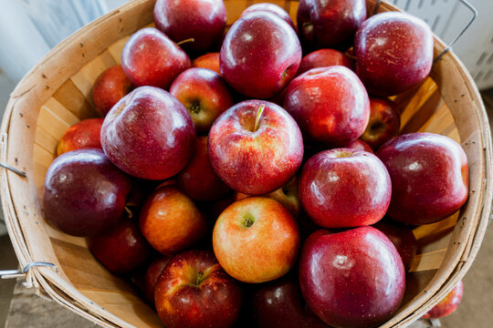 A bushel of apples at the farm market
