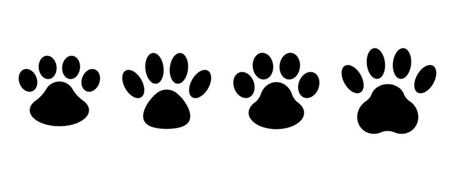 Different footprints of big cats. Leopard illustration set. Vector illustration