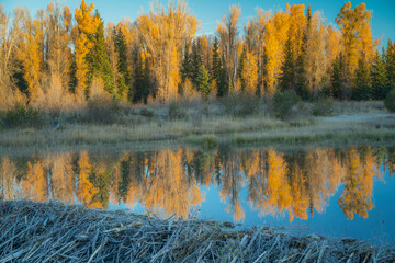 The Natural Beauty of this Majestic and Magical National Park will always inspire and delight.