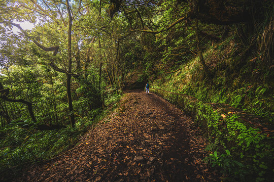 Beautiful woman walks torwards tunnel on adventurous jungle path along water canal. Levada of Caldeir&atilde;o Verde, Madeira Island, Portugal, Europe.