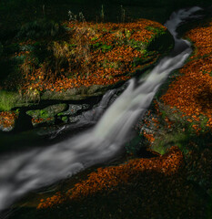 Cerna Desna creek in Jizerske mountains in autumn color morning