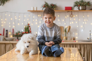 Boy, home, samoyed puppy, fun