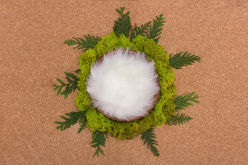 Newborn digital background, bowl surrounded by green moss, forest theme.