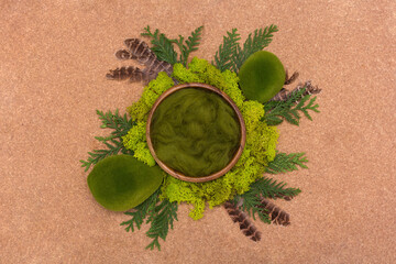 Newborn digital background, bowl surrounded by green moss, forest theme.
